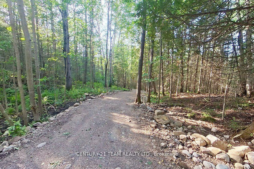 Photo 32 of 661 Old Hwy 17 Road, Papineau-Cameron, Papineau Cameron — HOMEH