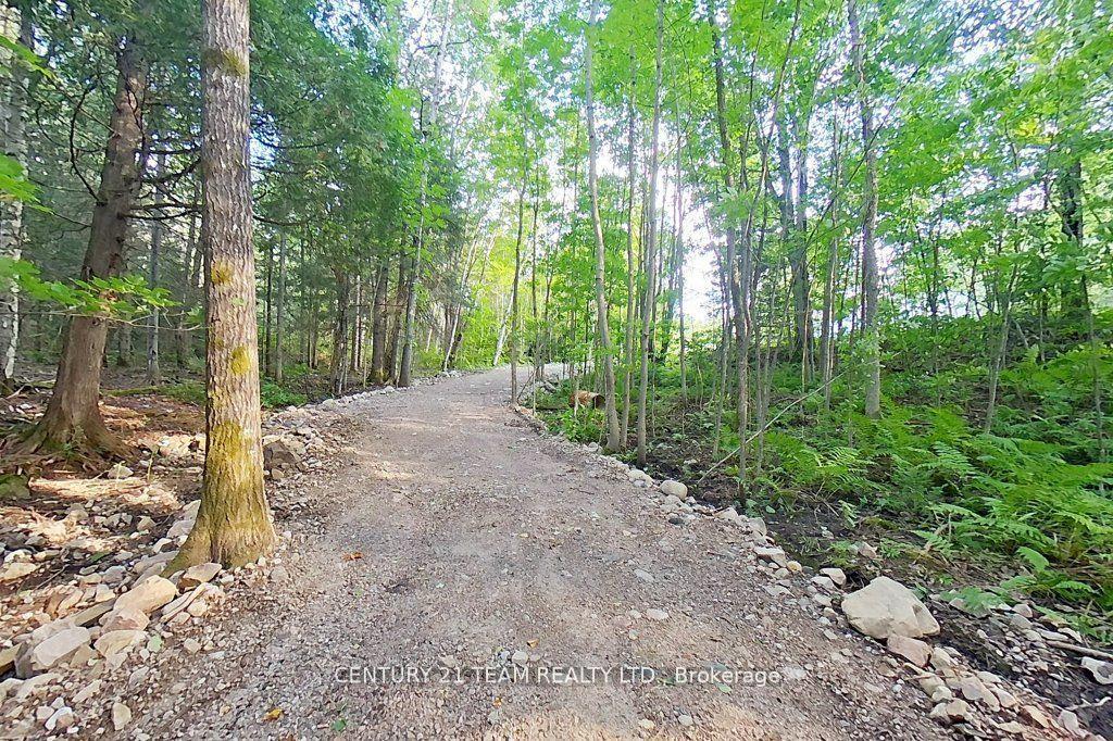 Photo 34 of 661 Old Hwy 17 Road, Papineau-Cameron, Papineau Cameron — HOMEH