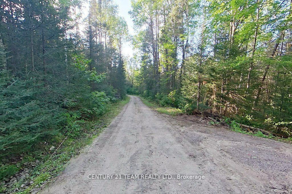 Photo 35 of 661 Old Hwy 17 Road, Papineau-Cameron, Papineau Cameron — HOMEH