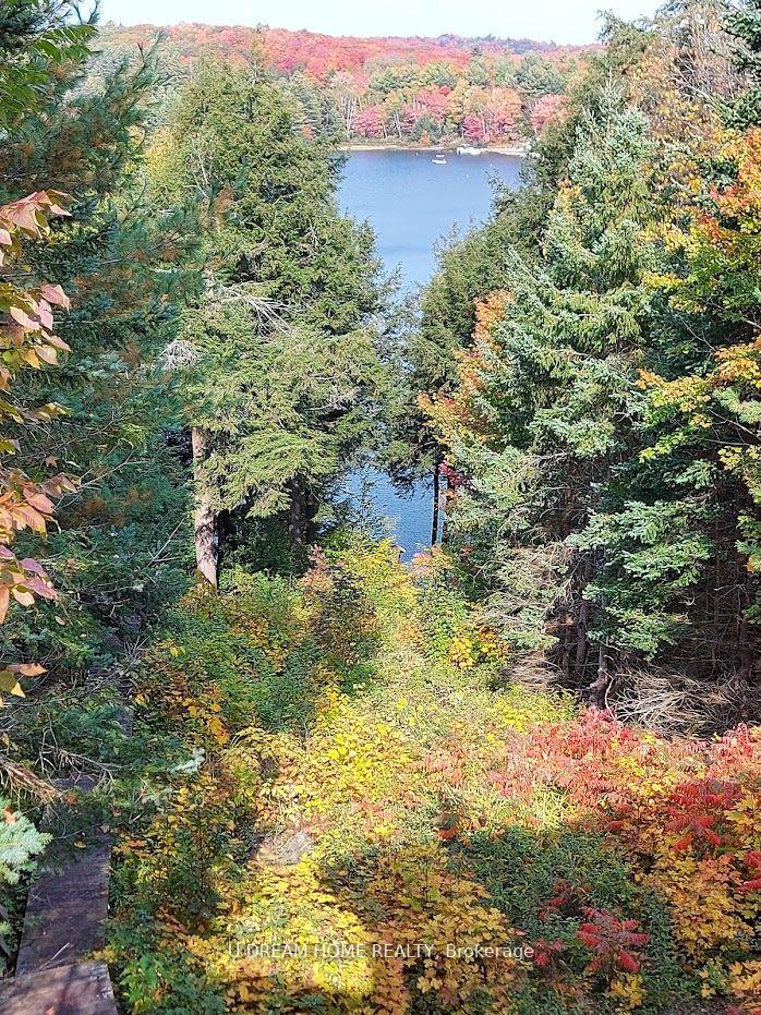Photo 36 of 454 Silver Lake Road, Magnetawan, Spence — HOMEH