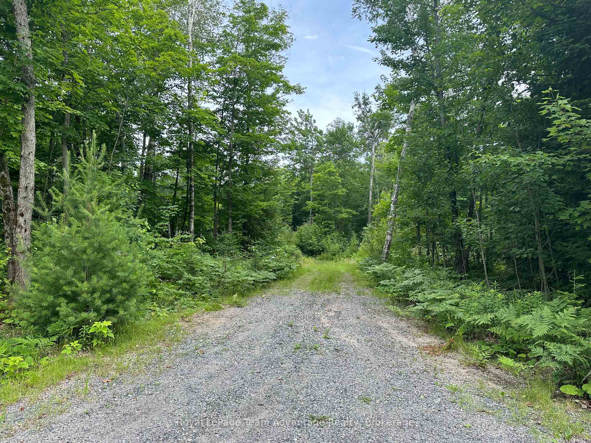 Photo 3 of 54 Woods Road, Carling — HOMEH
