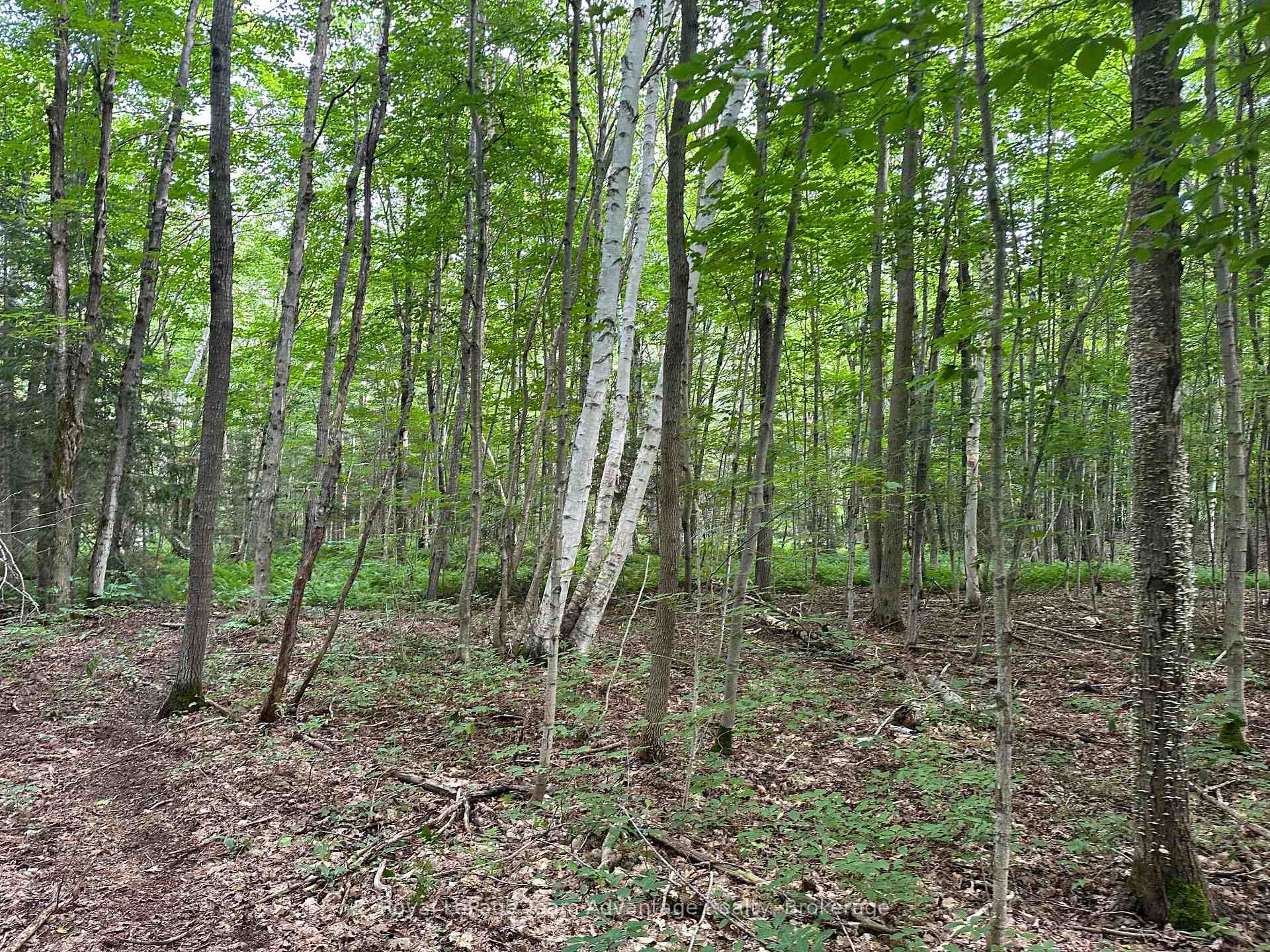 Photo 4 of 54 Woods Road, Carling — HOMEH