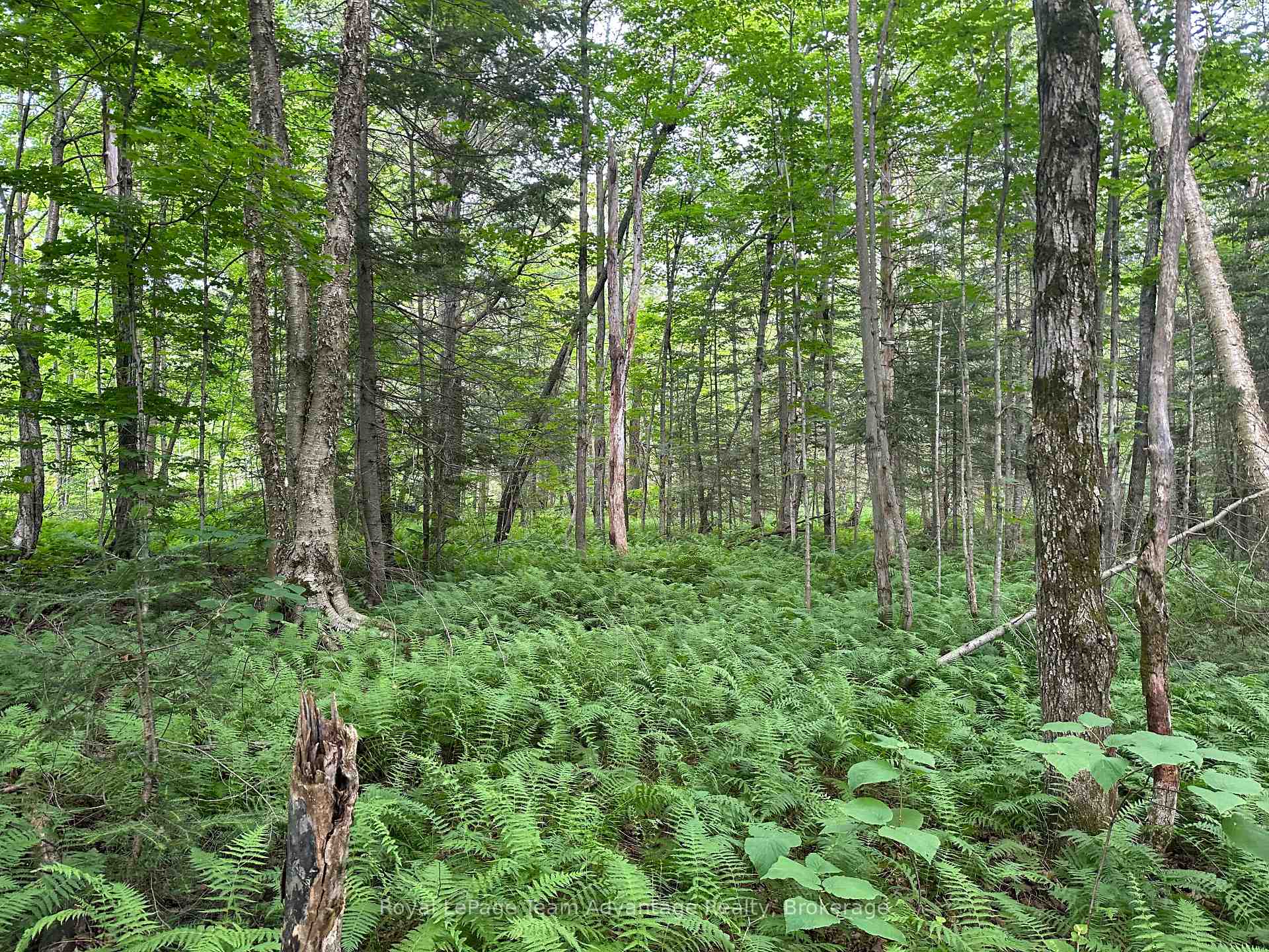 Photo 6 of 54 Woods Road, Carling — HOMEH