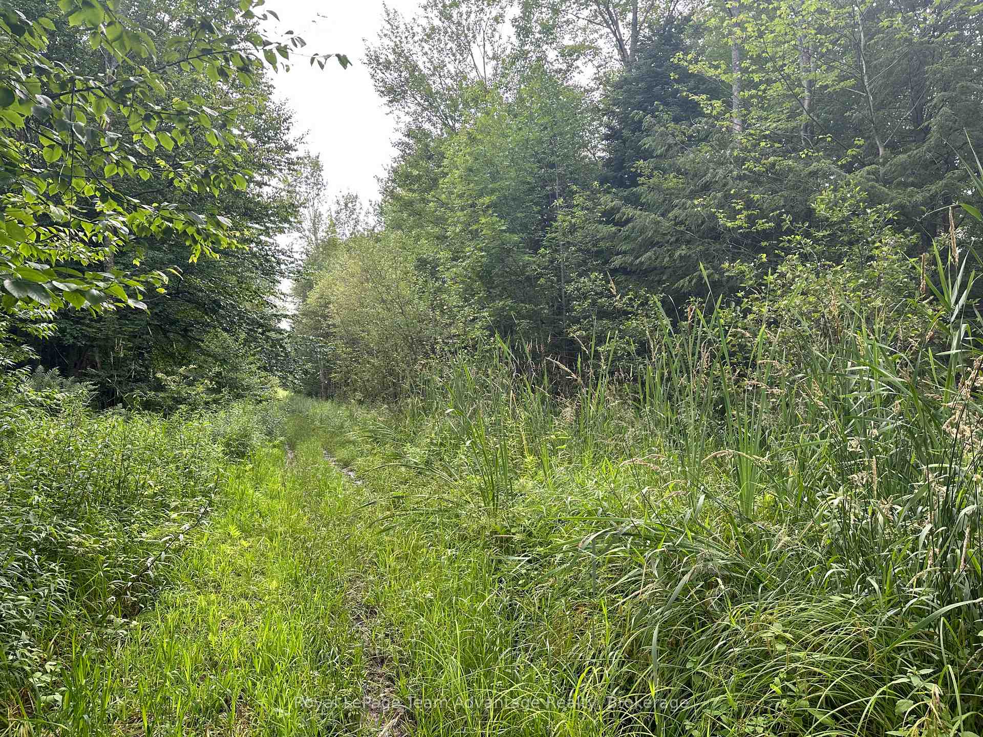 Photo 8 of 54 Woods Road, Carling — HOMEH