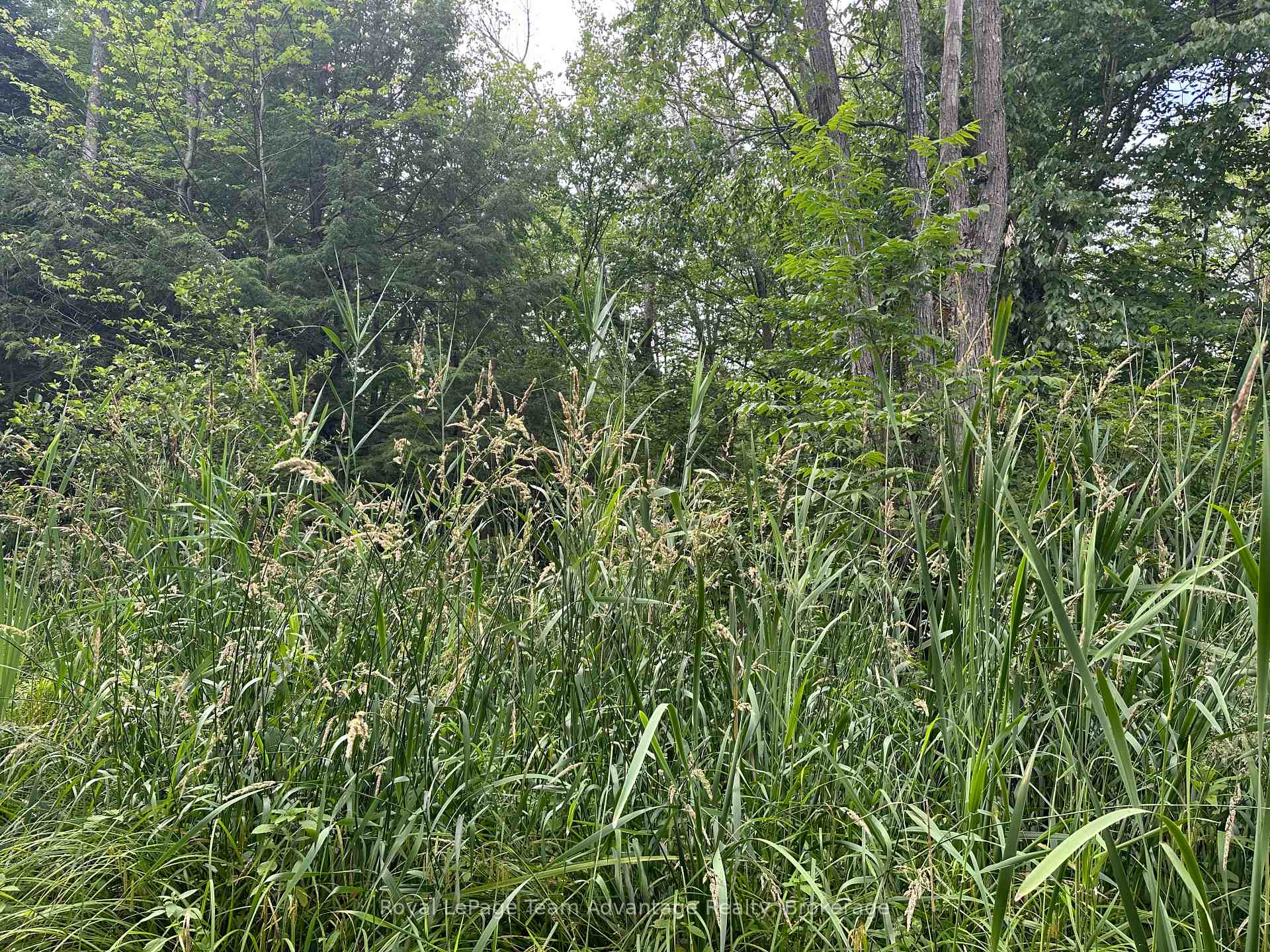 Photo 9 of 54 Woods Road, Carling — HOMEH