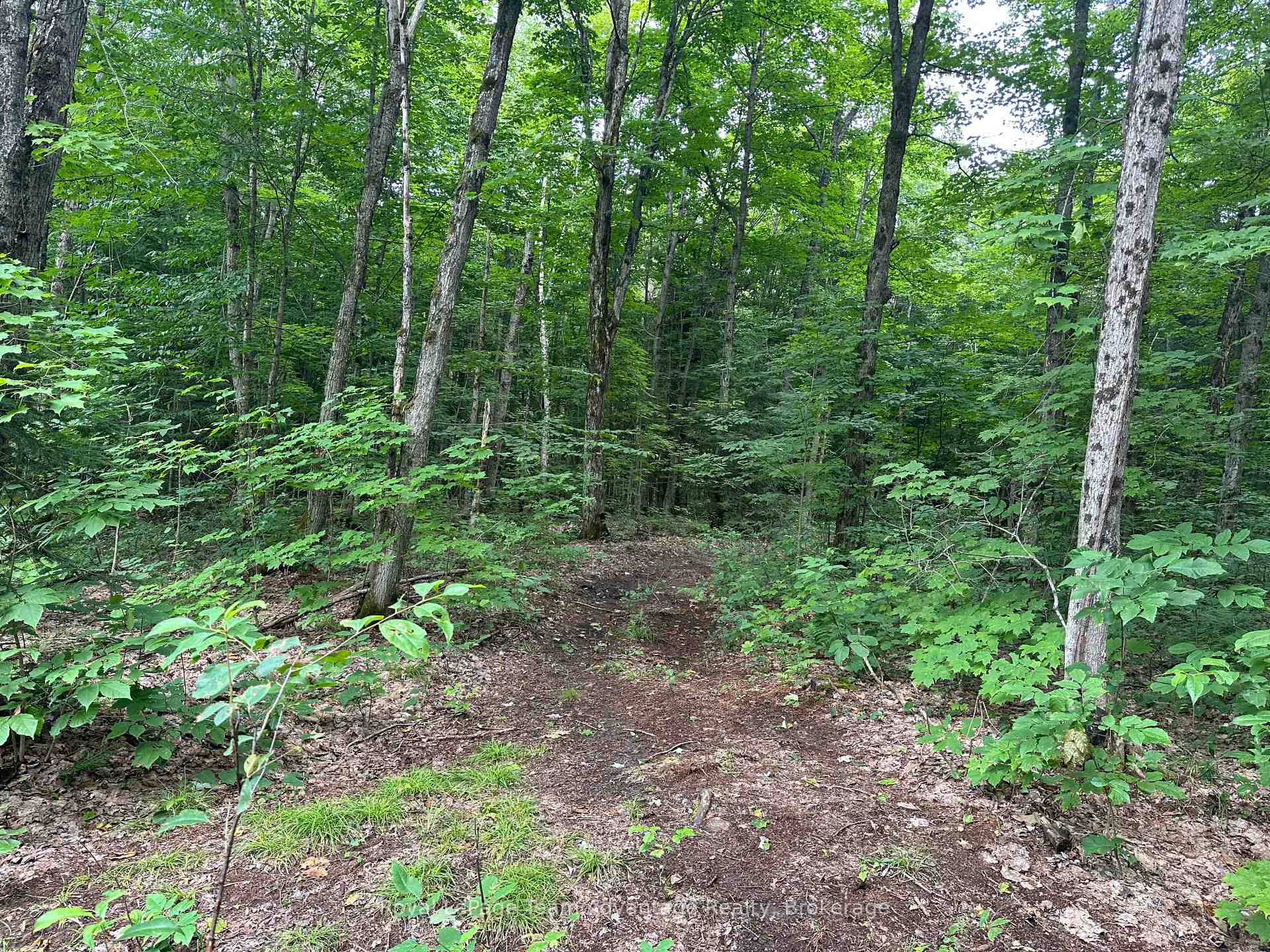 Photo 10 of 54 Woods Road, Carling — HOMEH