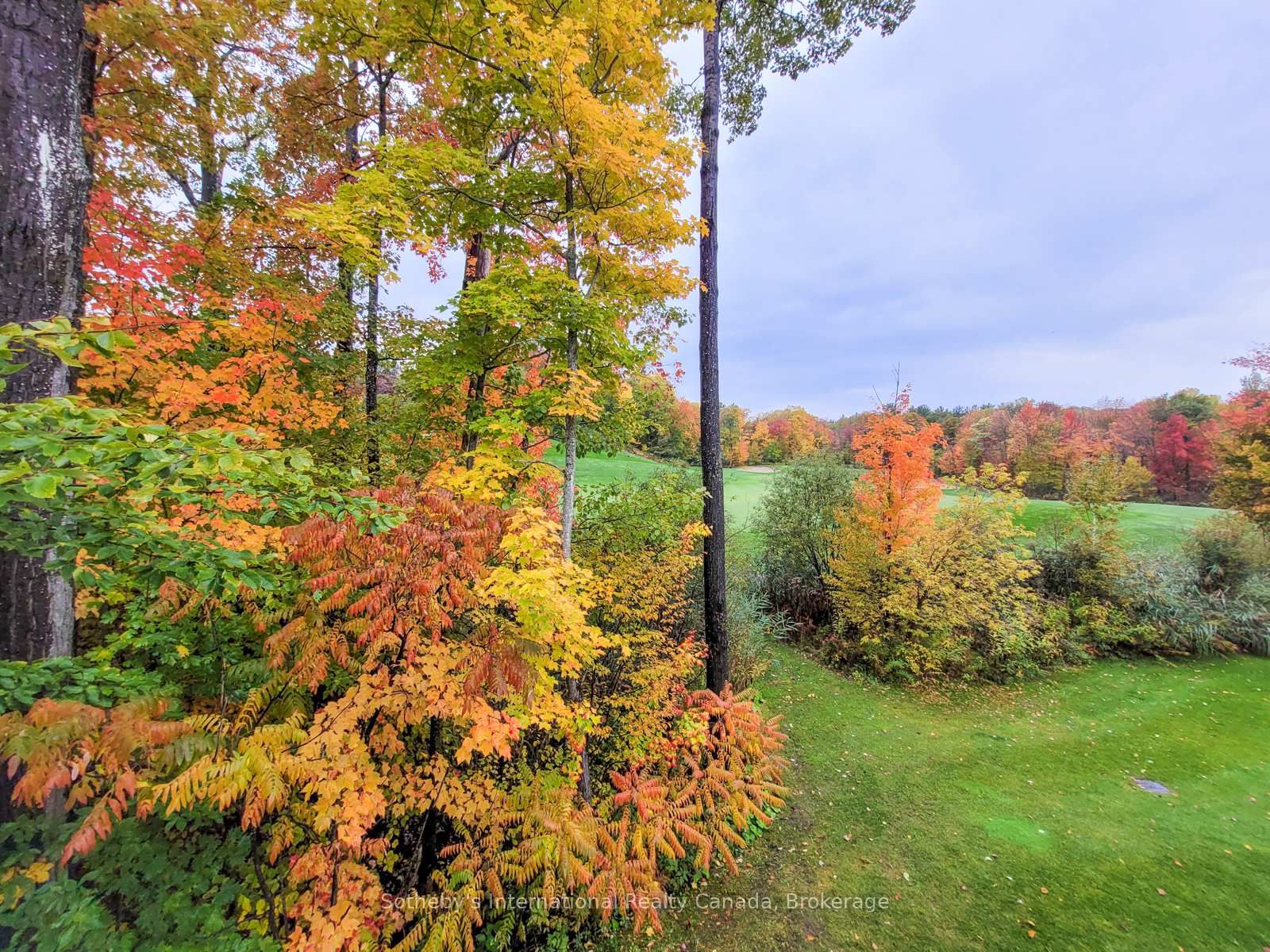 Photo 16 of 16 Carrick Trail, Gravenhurst, Muskoka (S) — HOMEH
