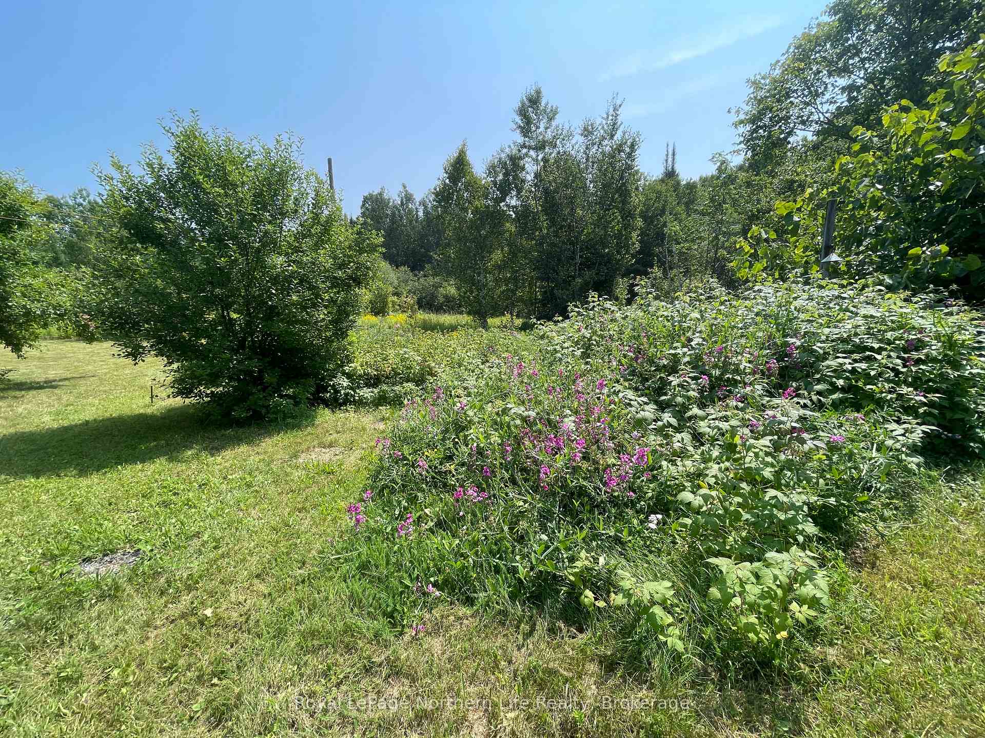Photo 48 of 202 Highway 17 E, Bonfield — HOMEH