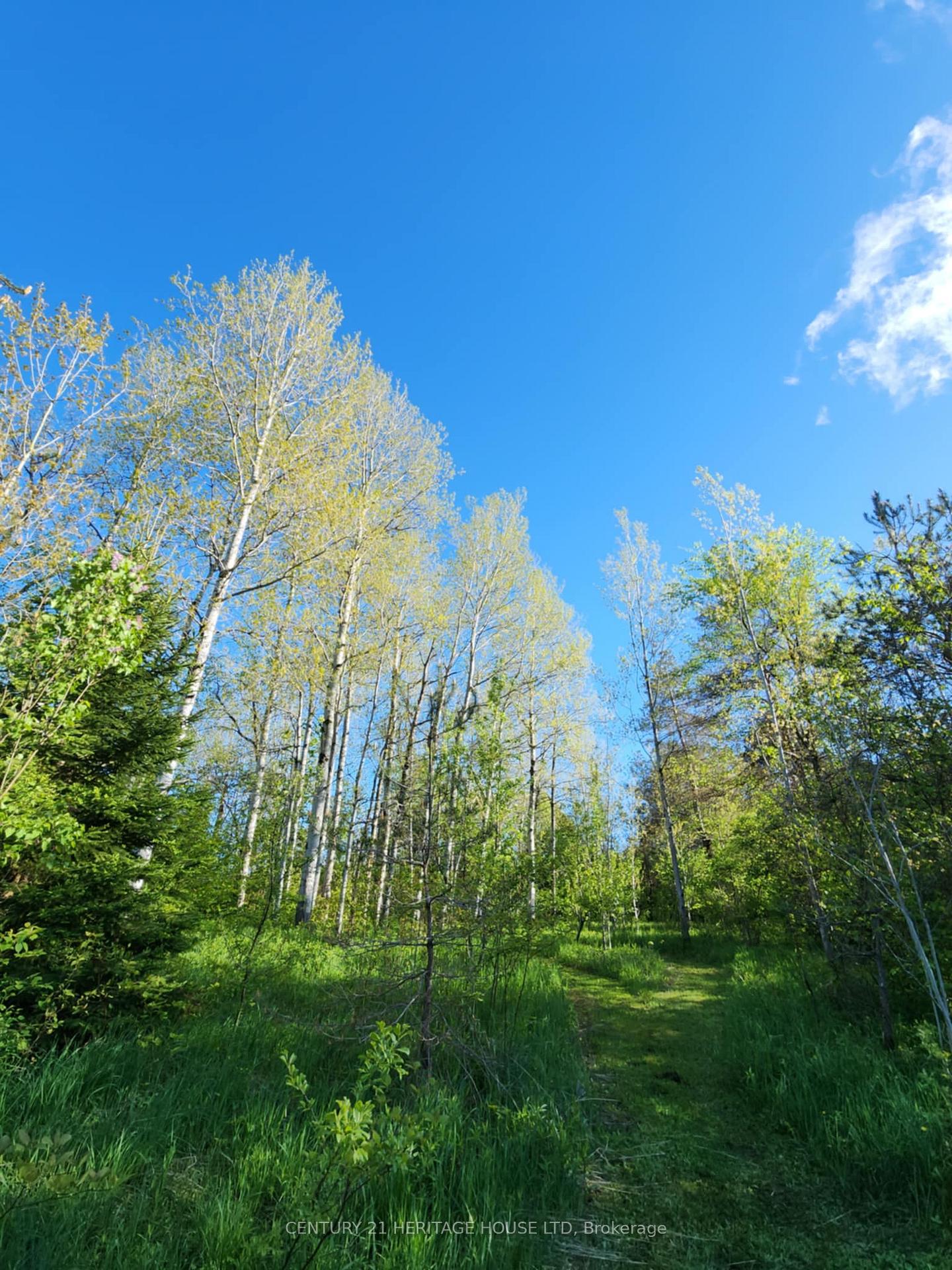 Photo 32 of 580330 Sideroad 60, R.R.#1 Side Road, Chatsworth — HOMEH