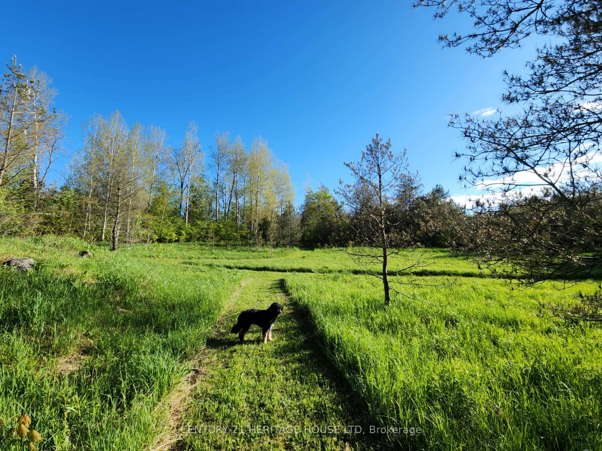 Photo 34 of 580330 Sideroad 60, R.R.#1 Side Road, Chatsworth — HOMEH