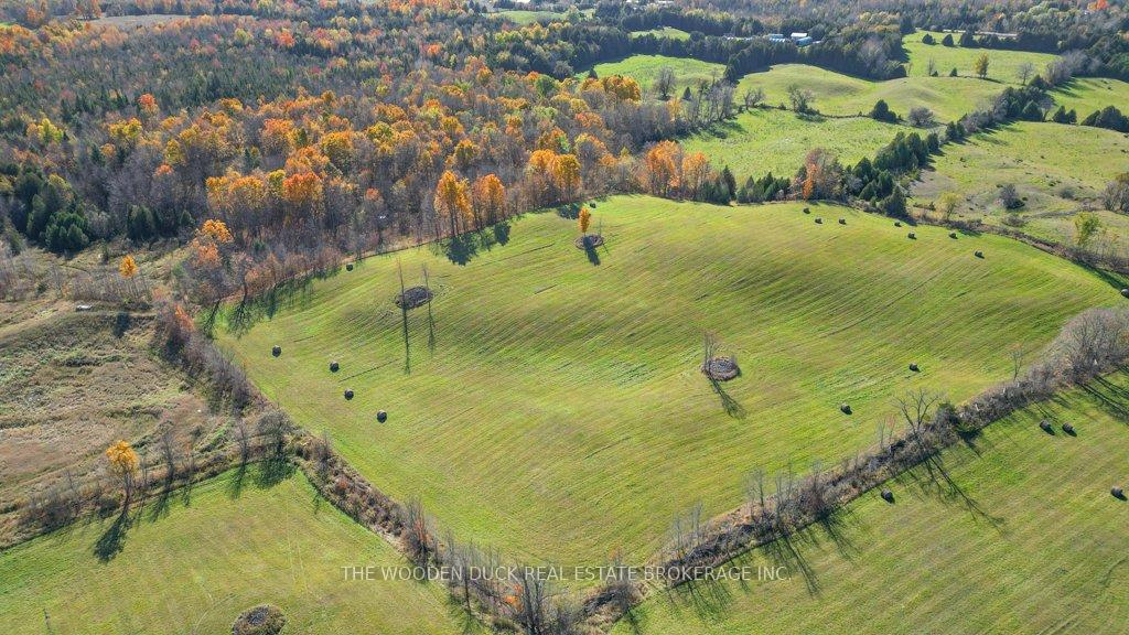 Photo 58 of 222 Tenth Line Road, Douro-Dummer — HOMEH