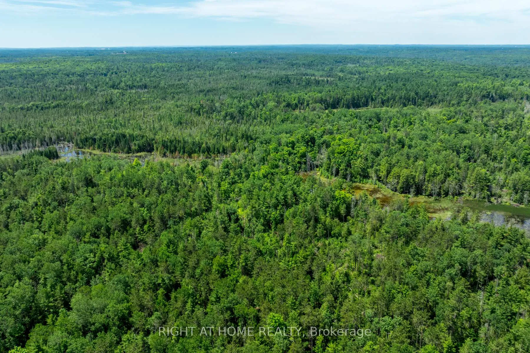 Photo 33 of 1662 County Road 40, Douro-Dummer — HOMEH