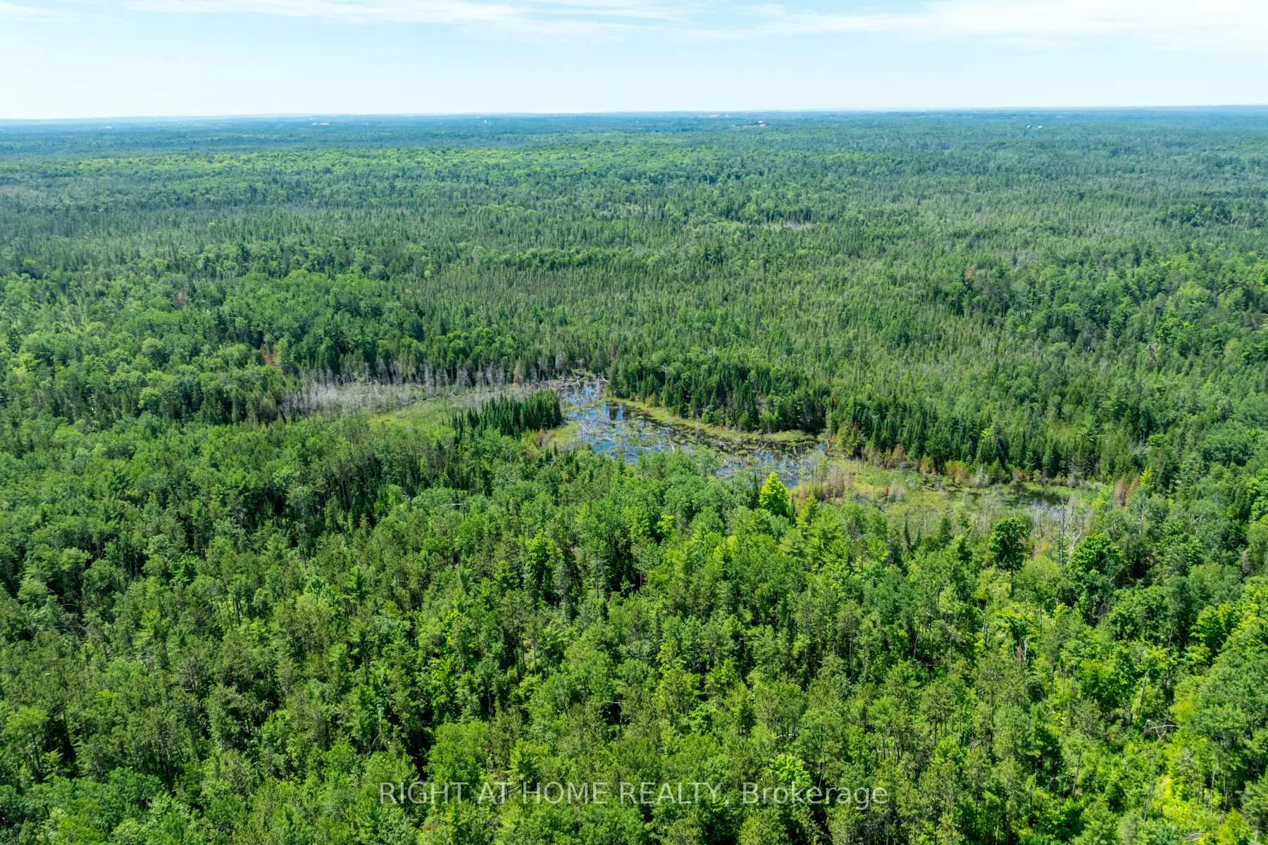 Photo 35 of 1662 County Road 40, Douro-Dummer — HOMEH