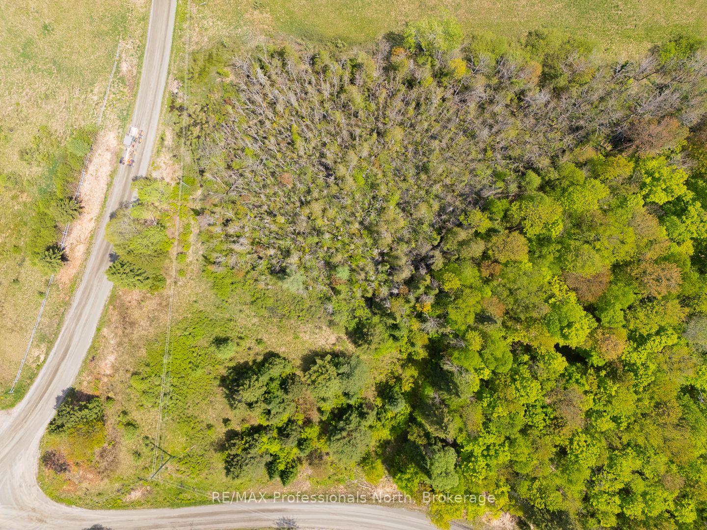 Photo 6 of 1468 Nelson Lake Road, Magnetawan, Spence — HOMEH