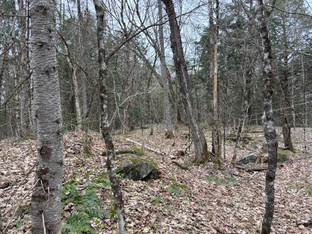 Photo 1 of Lot 2 Loch Erne Road, McDougall — HOMEH