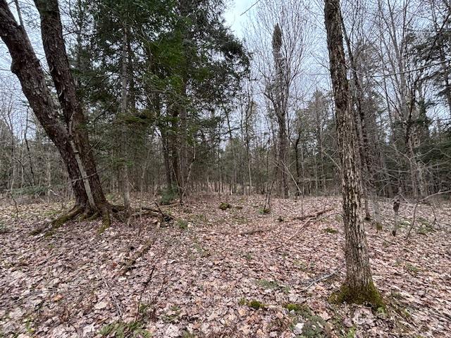 Photo 2 of Lot 2 Loch Erne Road, McDougall — HOMEH
