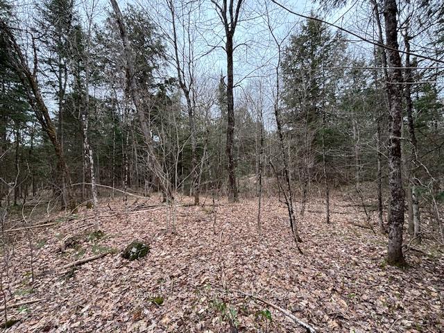 Photo 3 of Lot 2 Loch Erne Road, McDougall — HOMEH