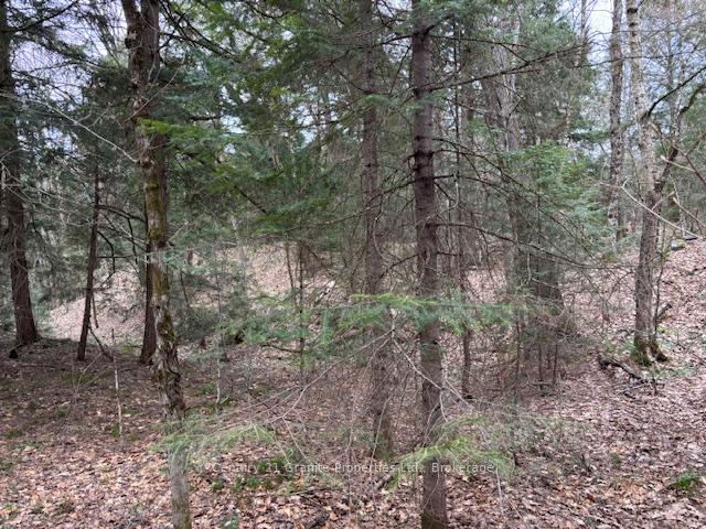 Photo 4 of Lot 2 Loch Erne Road, McDougall — HOMEH