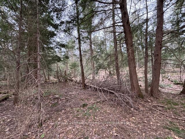 Photo 5 of Lot 2 Loch Erne Road, McDougall — HOMEH
