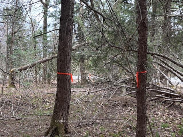 Photo 6 of Lot 2 Loch Erne Road, McDougall — HOMEH