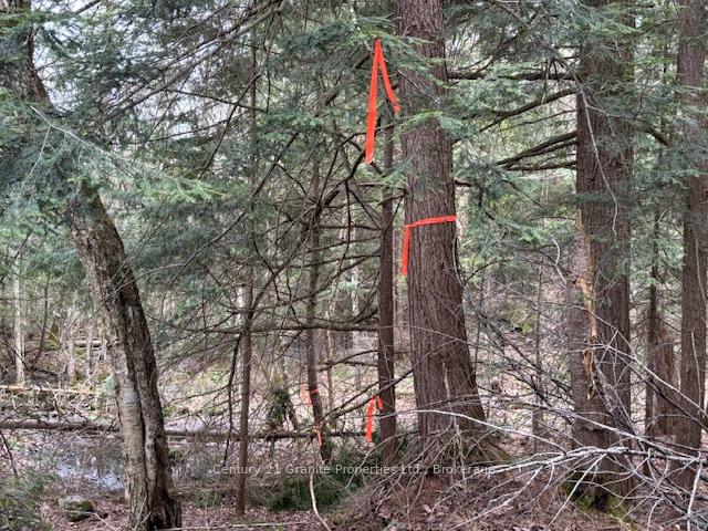 Photo 7 of Lot 2 Loch Erne Road, McDougall — HOMEH