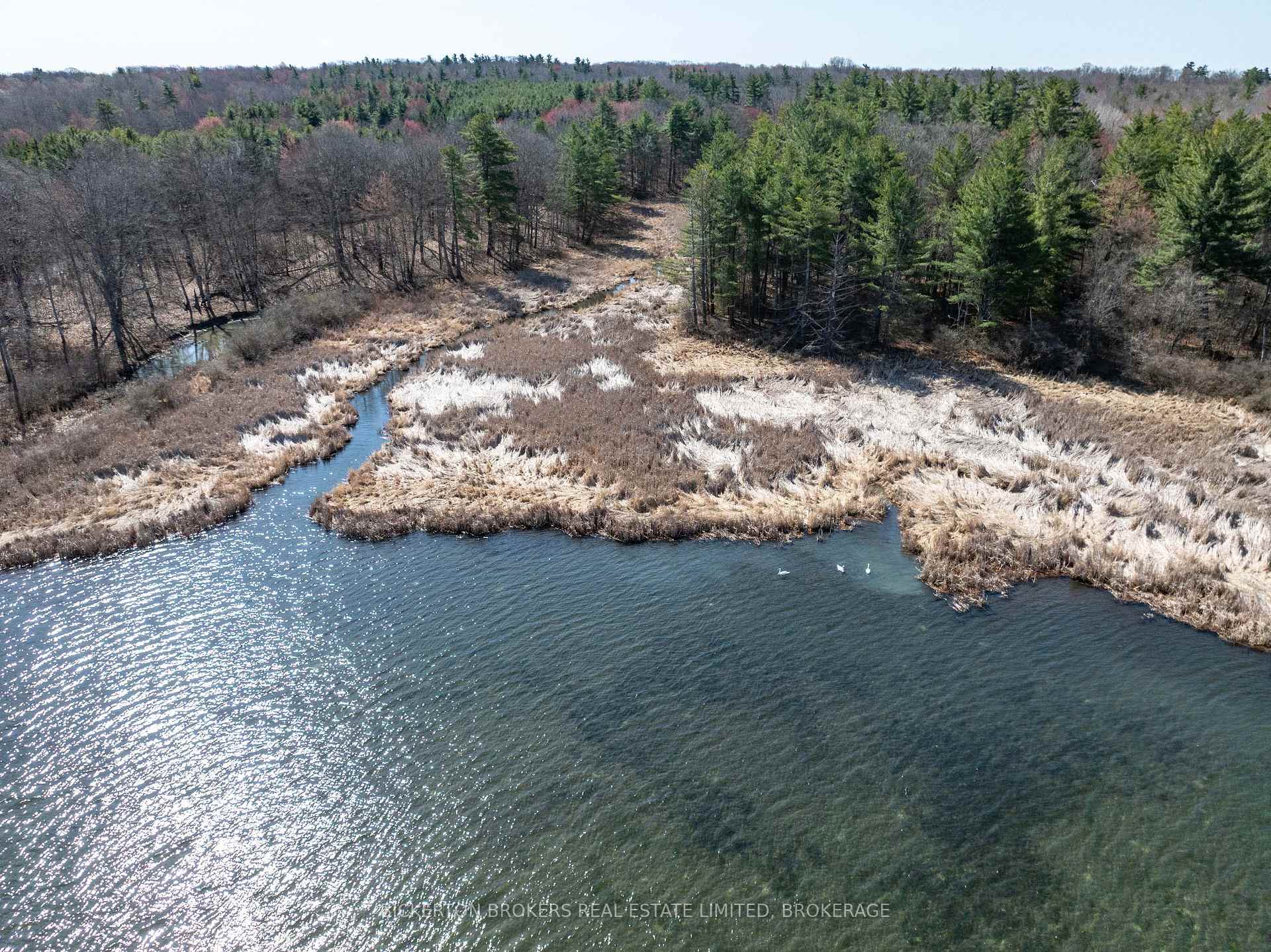 Photo 9 of 00 Driscoll Road, Frontenac Islands, The Islands — HOMEH
