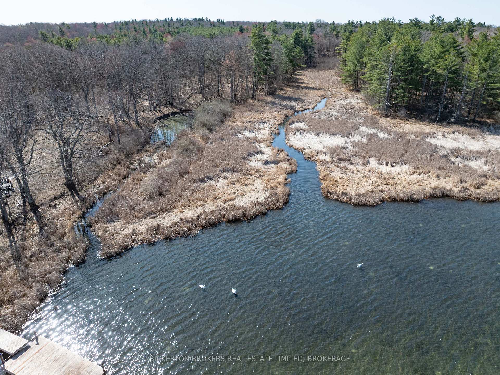Photo 10 of 00 Driscoll Road, Frontenac Islands, The Islands — HOMEH