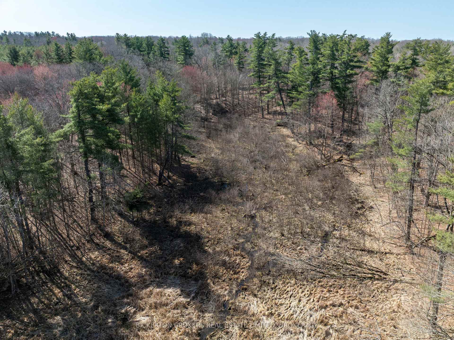 Photo 13 of 00 Driscoll Road, Frontenac Islands, The Islands — HOMEH