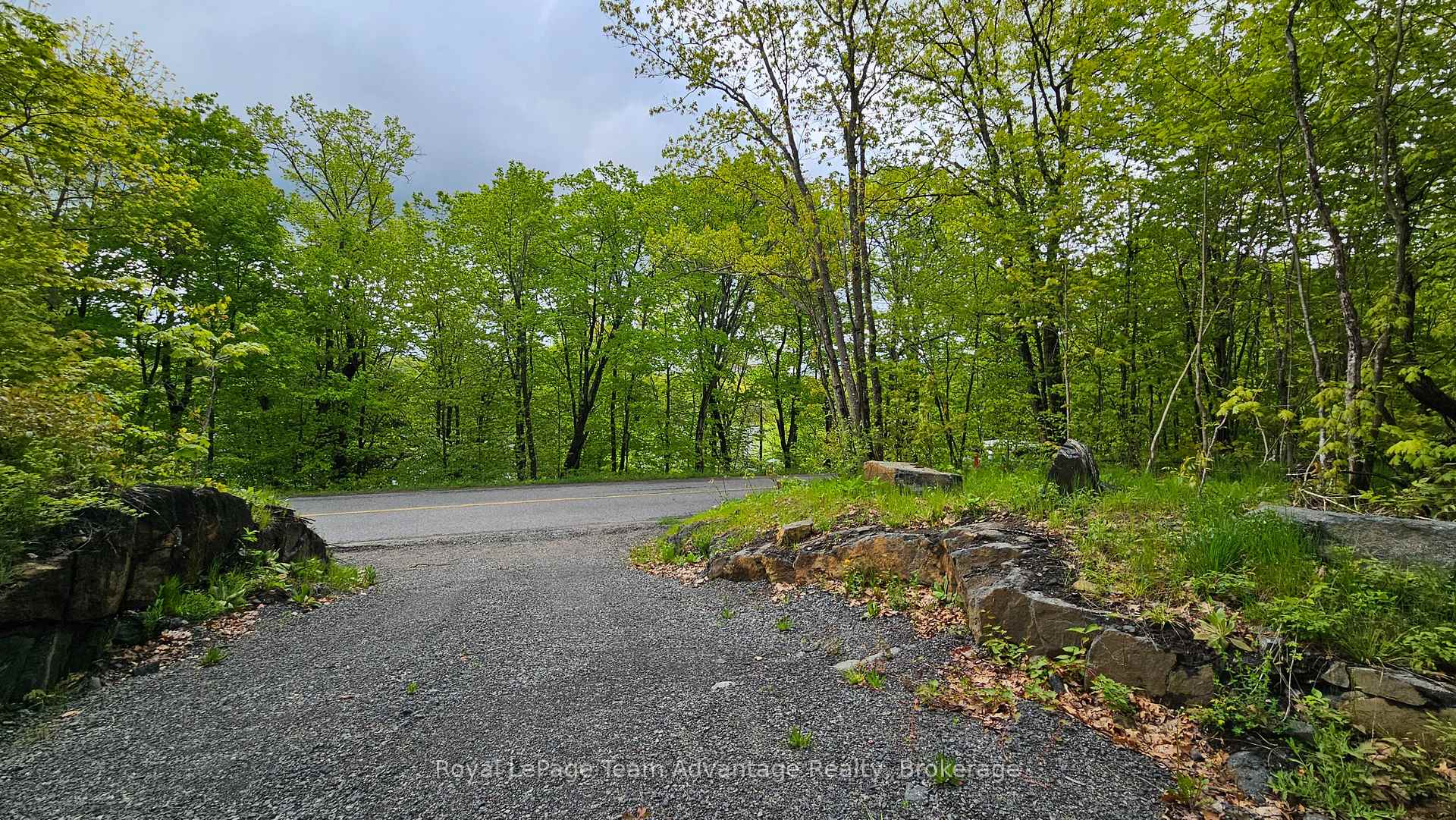 Photo 4 of 31 Pinewood Road, McDougall — HOMEH