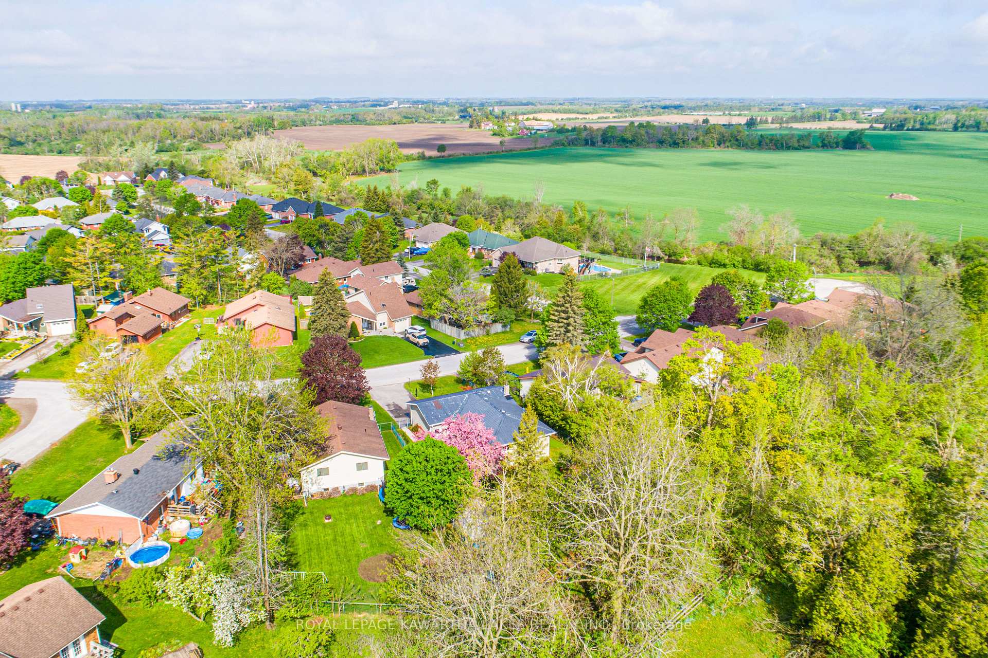 Photo 26 of 115 Meadowlands Drive, Brock, Cannington — HOMEH