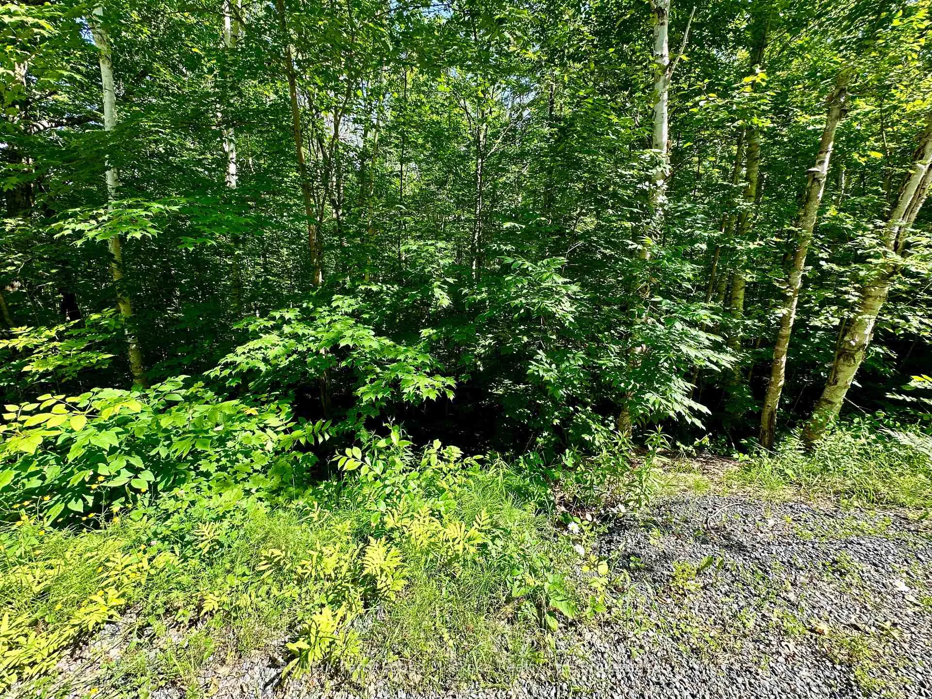 Photo 5 of Frontenac Drive, McKellar — HOMEH