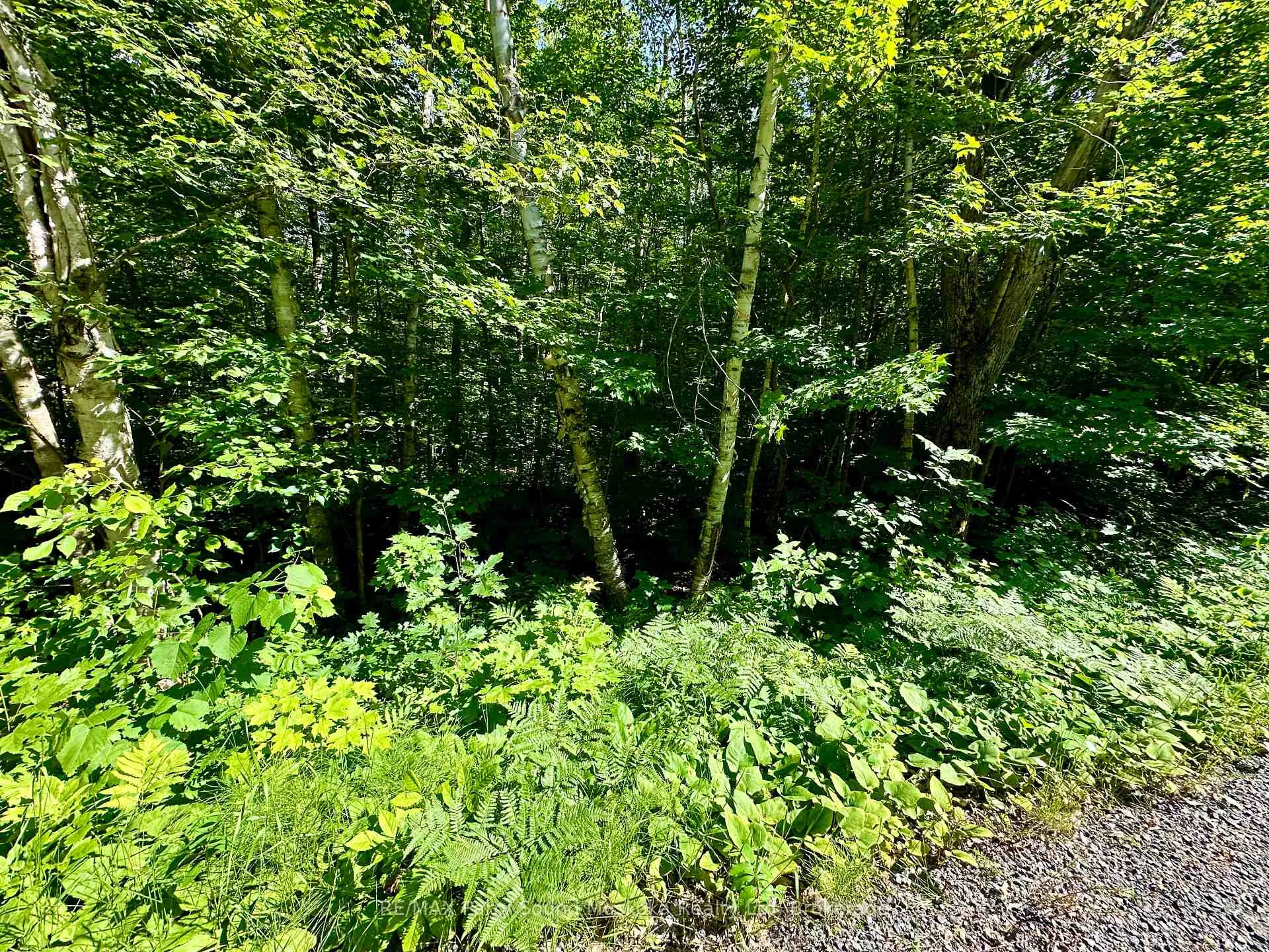 Photo 7 of Frontenac Drive, McKellar — HOMEH