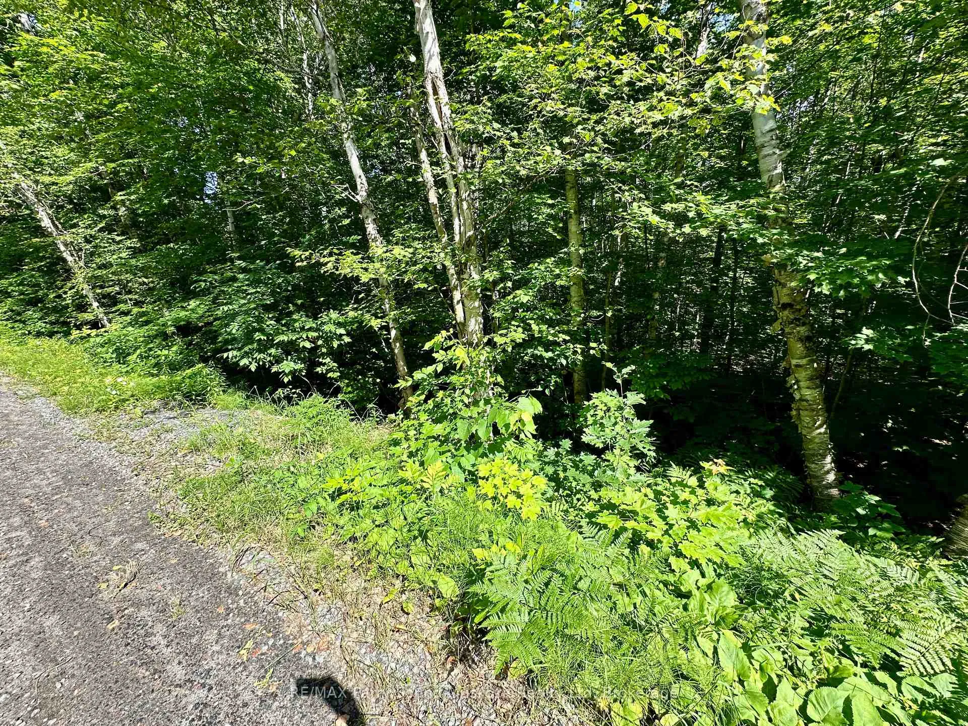 Photo 8 of Frontenac Drive, McKellar — HOMEH