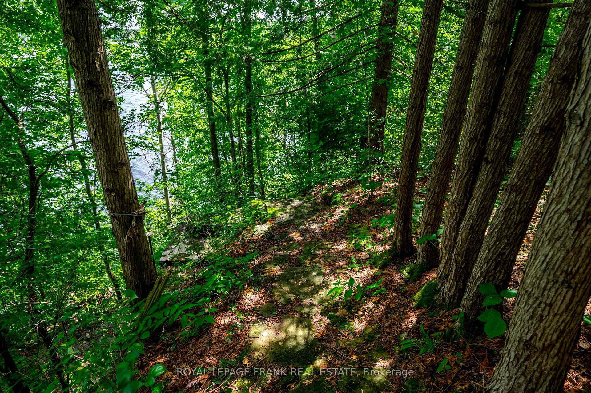 Photo 8 of 1194 Birchview Road, Douro-Dummer — HOMEH