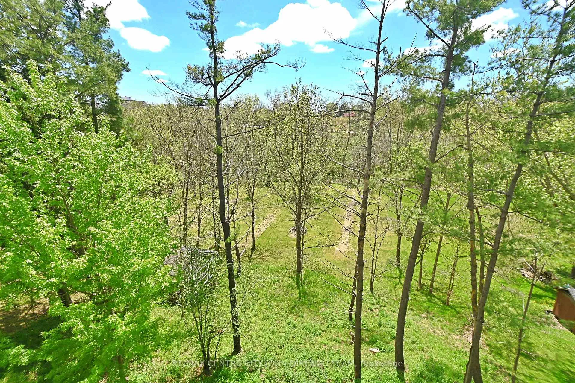Photo 39 of 6 Woodland Road, Central Elgin, Lynhurst — HOMEH