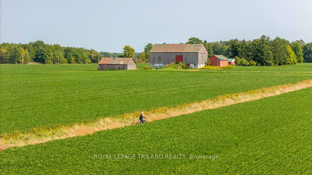Photo 6 of 29566 Celtic Line, Dutton/Dunwich, Rural Dutton/Dunwich — HOMEH