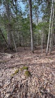Photo 7 of Lippert Lane N, Faraday — HOMEH