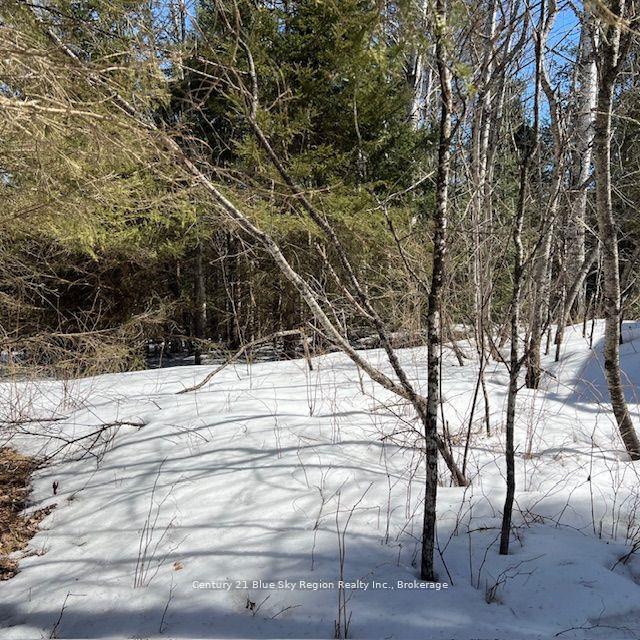 Photo 2 of 7 Burrits Road, Papineau-Cameron, Papineau Cameron — HOMEH
