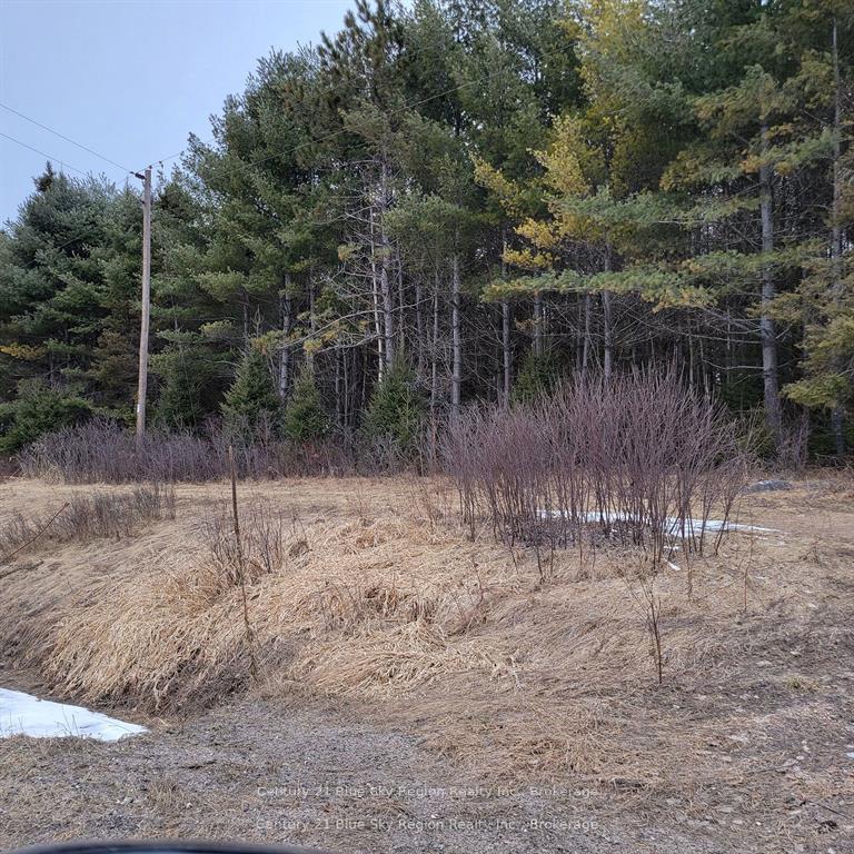 Photo 3 of 7 Burrits Road, Papineau-Cameron, Papineau Cameron — HOMEH
