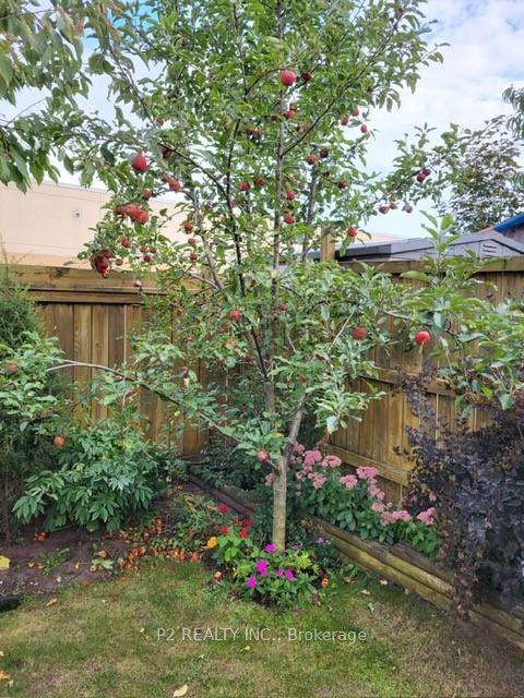 Photo 29 of 55 Srigley Street, Barrie, Holly — HOMEH
