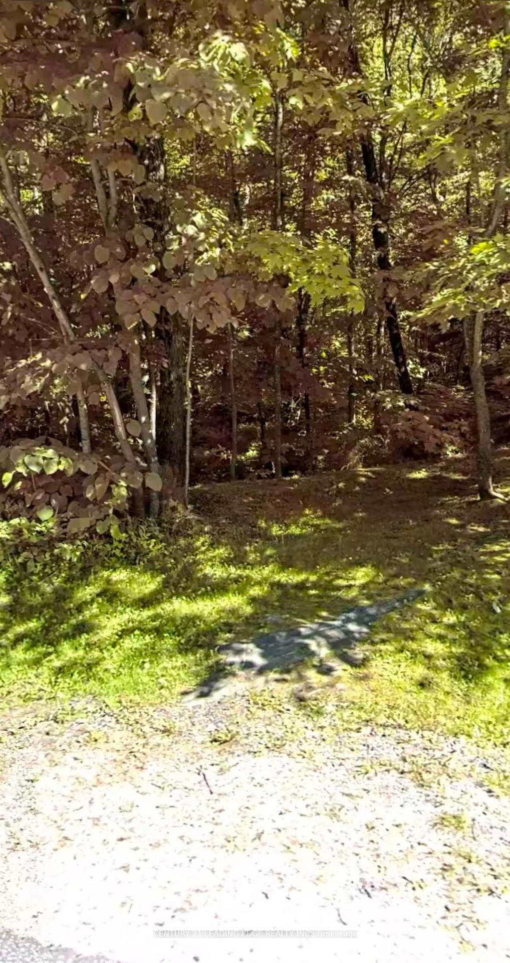Photo 4 of 67 Pinewood Road, McDougall — HOMEH