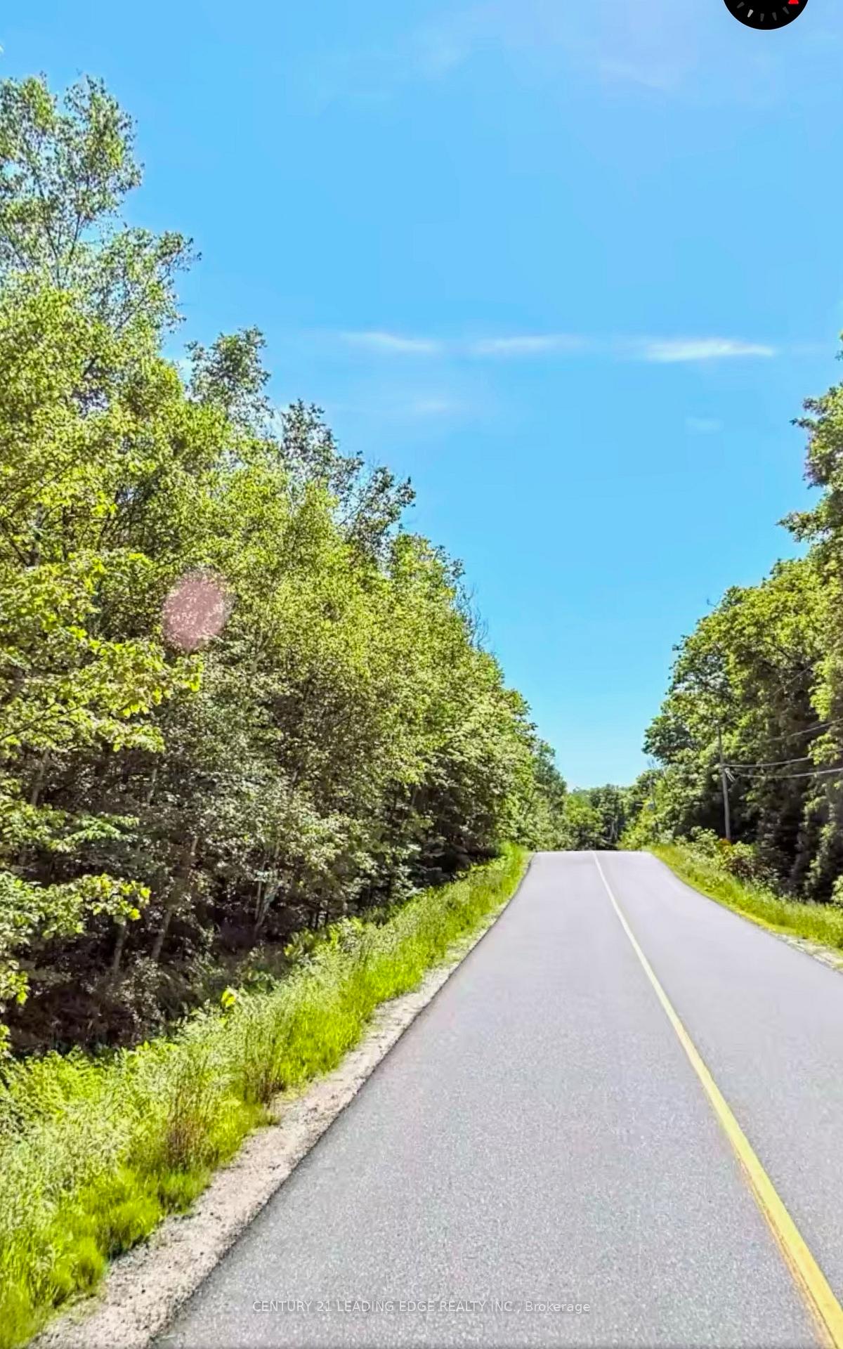 Photo 6 of 67 Pinewood Road, McDougall — HOMEH