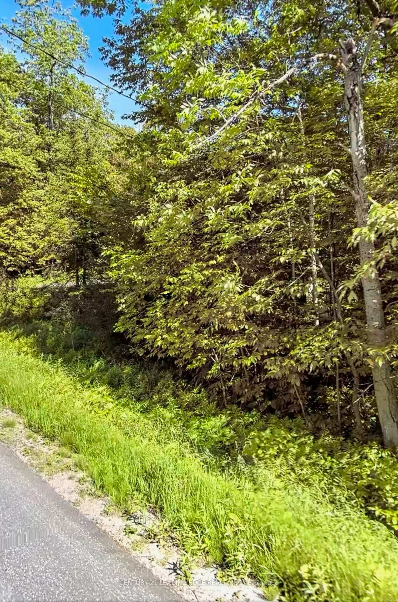 Photo 16 of 67 Pinewood Road, McDougall — HOMEH
