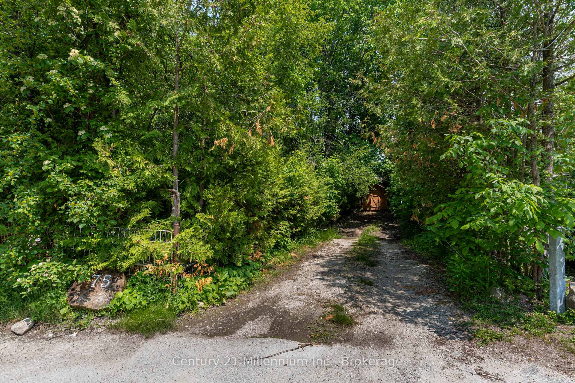 Photo 44 of 75 Glen Road, Collingwood — HOMEH