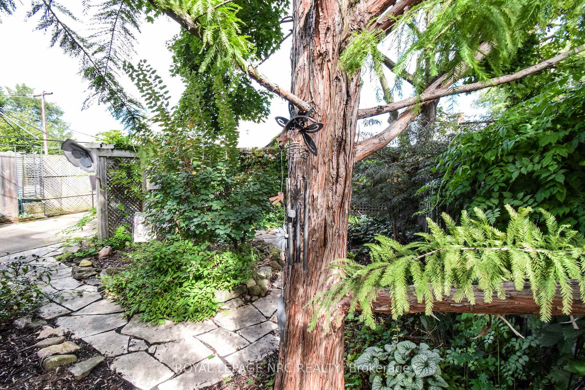 Photo 46 of 17 Trapnell Street, St. Catharines, E. Chester — HOMEH