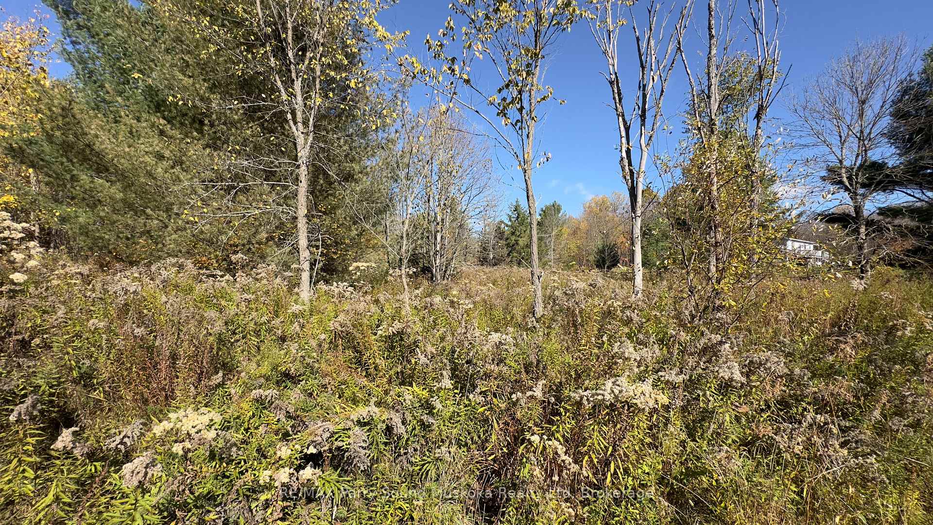 Photo 5 of 9 Charles Avenue, McKellar — HOMEH