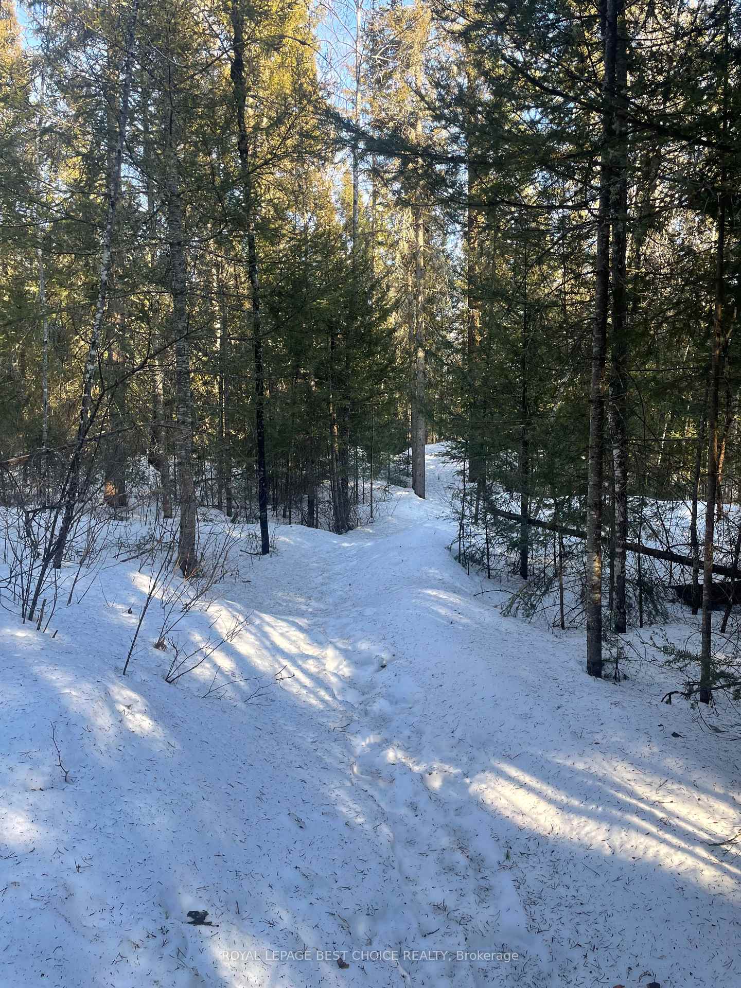 Photo 23 of 468505 5 Road, Englehart, Central Timiskaming — HOMEH