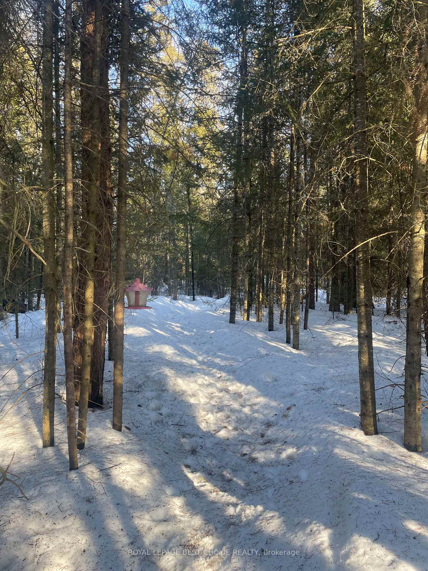 Photo 24 of 468505 5 Road, Englehart, Central Timiskaming — HOMEH