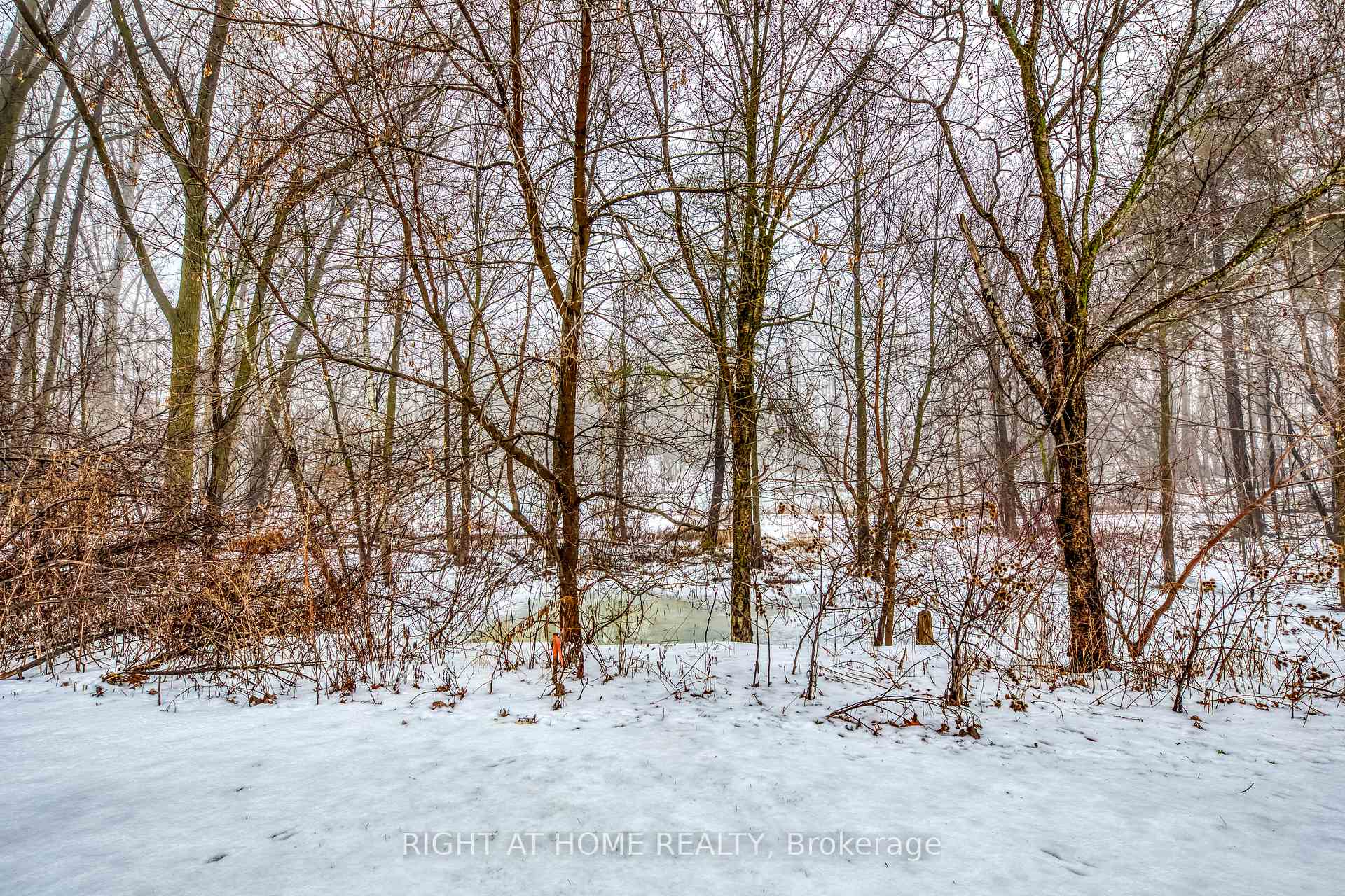 Photo 31 of 146 7th Concession Road E, Hamilton, Rural Flamborough — HOMEH