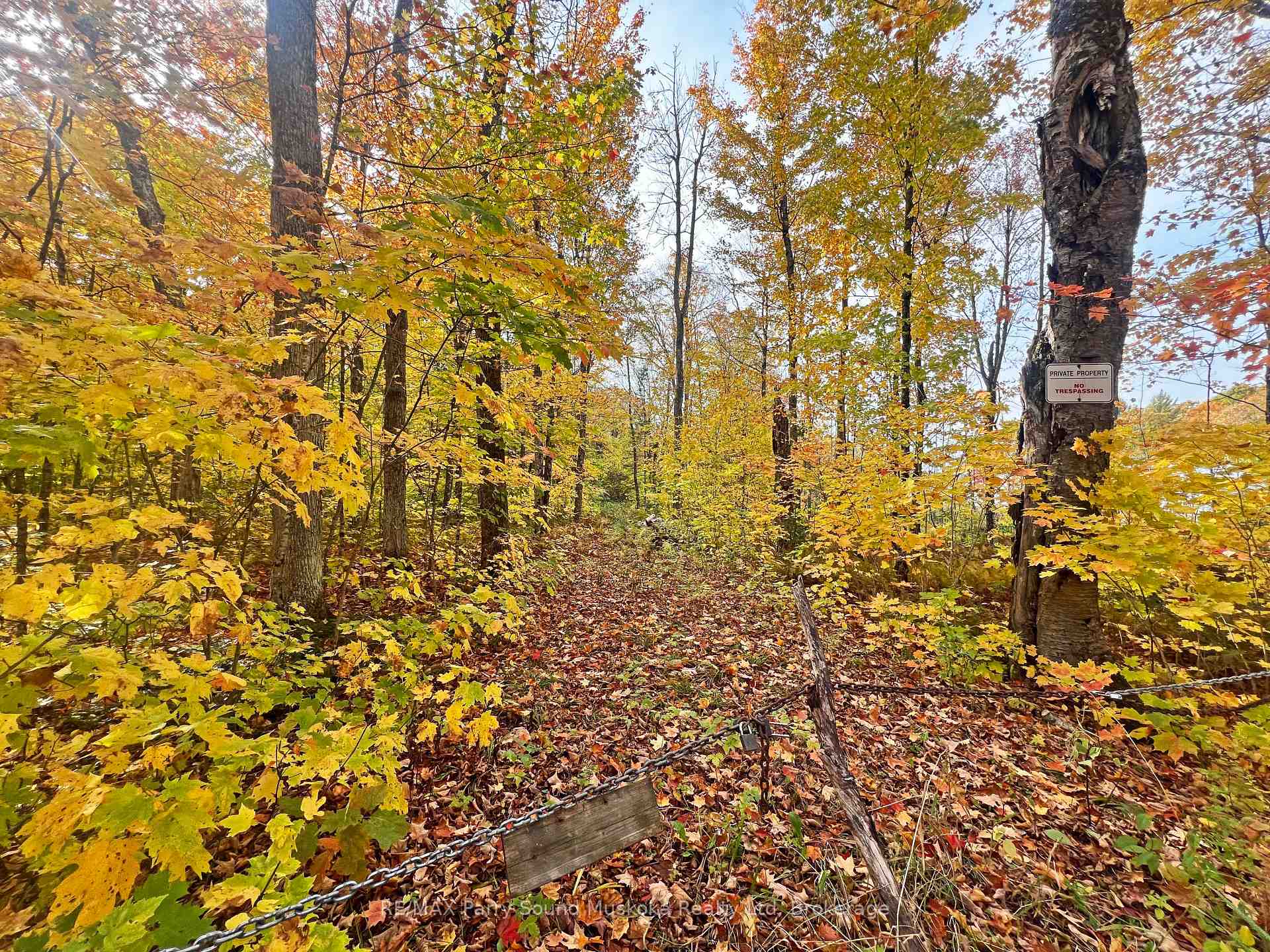 Photo 6 of Chikopi Road, Magnetawan, Ahmic Harbour — HOMEH